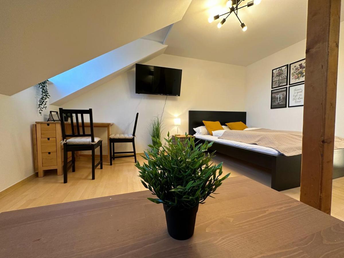 Gemuetliche, Charmante Ferienwohnung Naehe Zentrum プラウエン エクステリア 写真